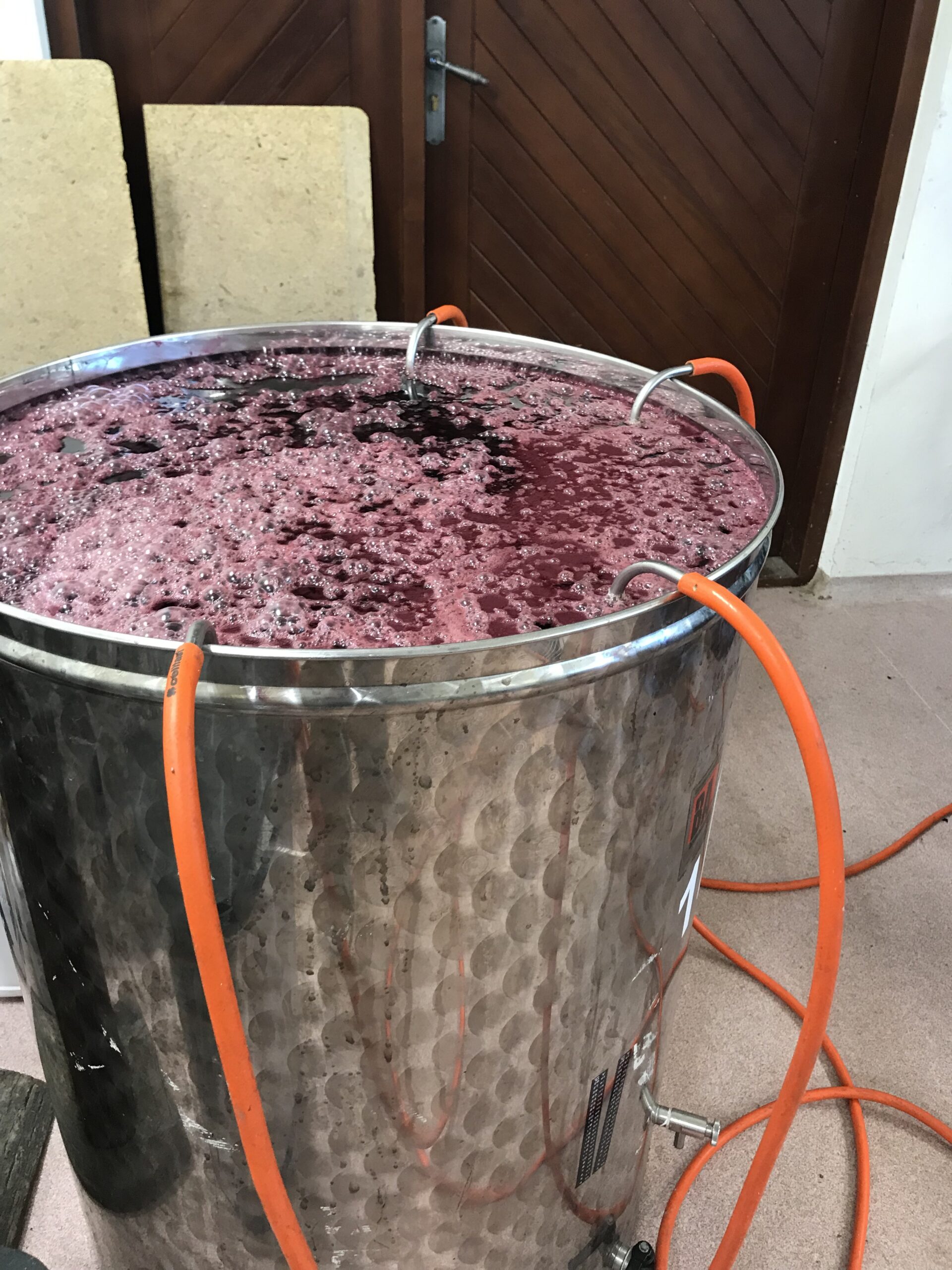 Moszcz po odciskaniu gron w Winnicy Sztukówka